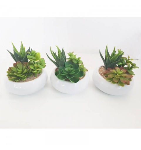 PIANTA GRASSA CON VASETTO FINTA (VARIE MISURE) - 3PZ