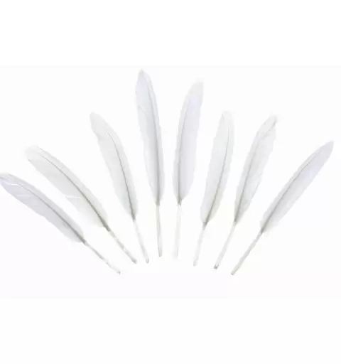Piume decorative bianche - 24 pz