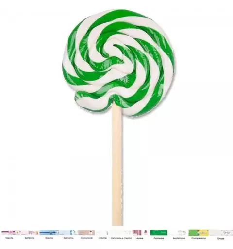 10 LECCA LECCA A SPIRALE VERDI CON BIGLIETTINI