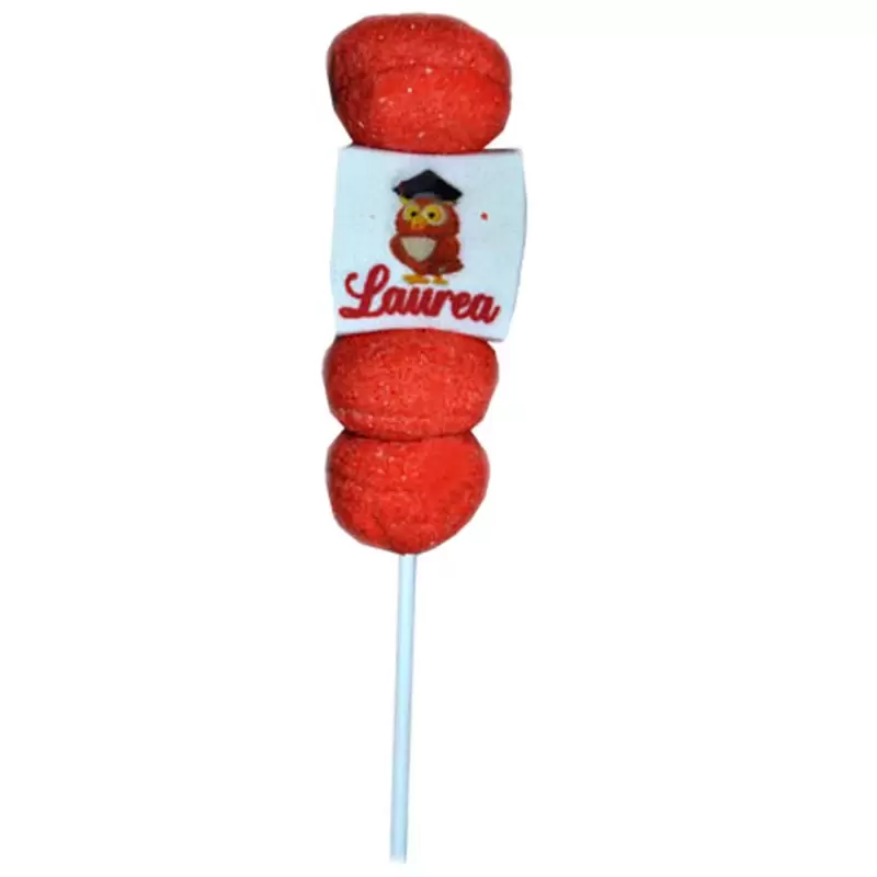 24 MINI SPIEDINI DI MARSHMALLOW LAUREA