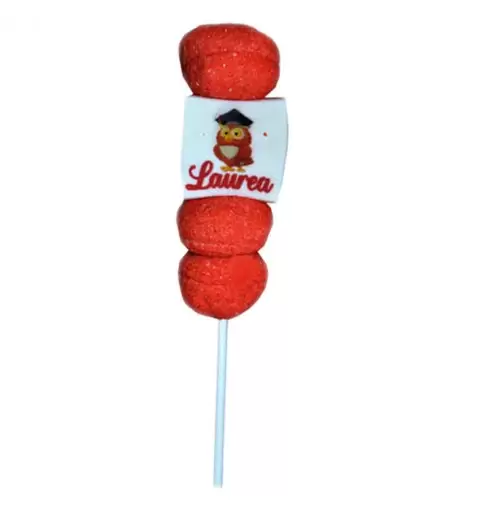 24 MINI SPIEDINI DI MARSHMALLOW LAUREA
