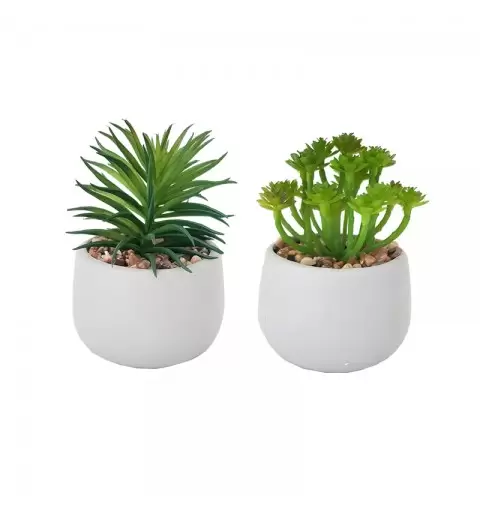 Piantine Grasse Artificiali 2 Modelli assortiti con vasetto in ceramica Grigio 6pz 84178 ( 9,6x9,6x13,7cm )