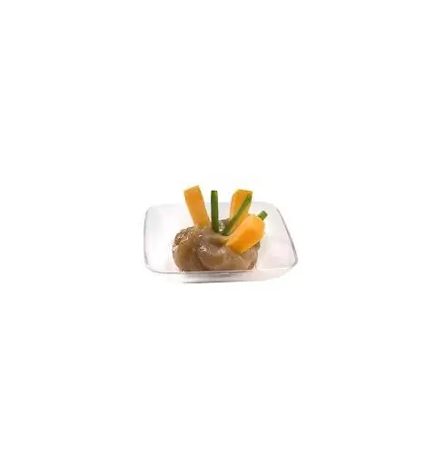 50 CIOTOLINE QUADRATE IN PLASTICA APPSP200C
