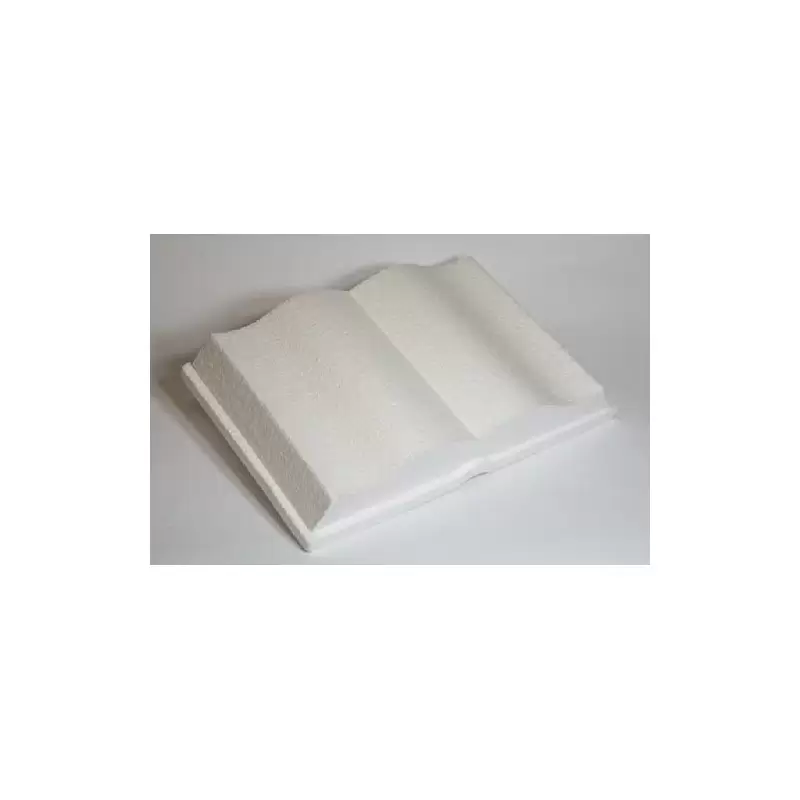 LIBRO DI POLISTIROLO 20 X 30 CM