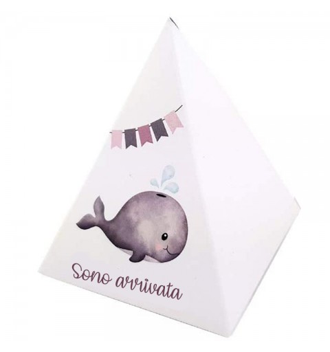 20 SCATOLINE PIRAMIDE NASCITA BALENA ROSA