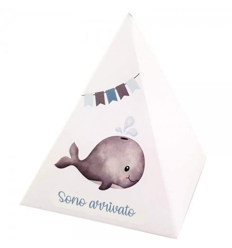 20 SCATOLINE PIRAMIDE NASCITA BALENA CELESTE