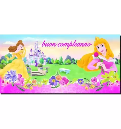 5BG13 DECORAZIONE MURALE POSTER FESTA  BAMBINA PRINCIPESSE DISNEY 