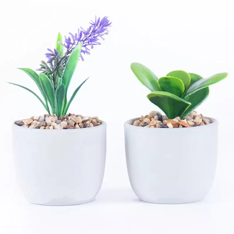 6 PIANTINE GRASSE ARTIFICIALI CON VASETTO BIANCO 84123