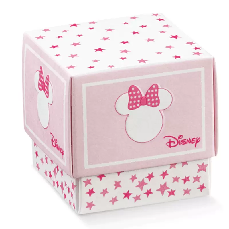 10 SCATOLINE MAXI FLEUR MINNIE'S STARS