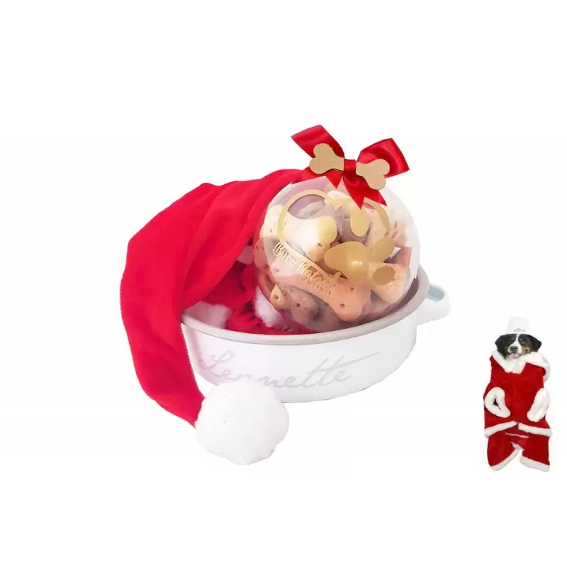 IDEA REGALO NATALIZIA PER CANE CON CIOTOLA E BISCOTTI