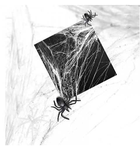 Ragnatela finta con ragno PH60-008
