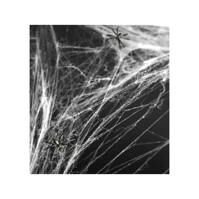 Ragnatela finta con ragno PH60-008