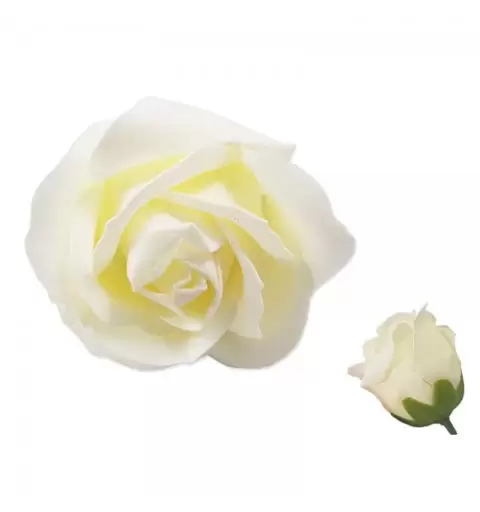 20 ROSE FINTE CREMA