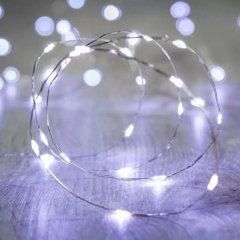 Catena di Luci micro Led a batteria 80 LED Bianco 242255