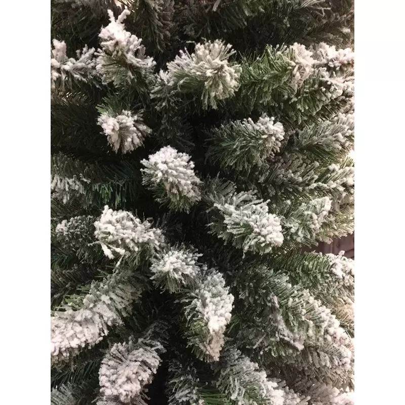 Abete innevato