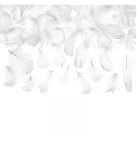 Piume decorative bianche misura ca. 5-8 cm 3 grammi PD1-008