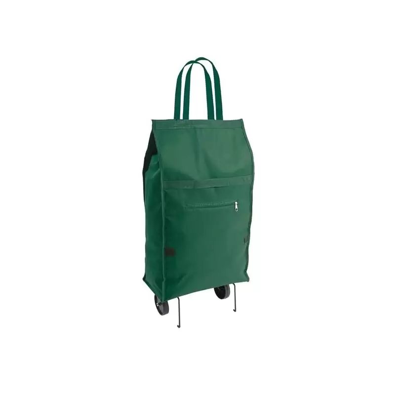 CARRELLO DELLA SPESA VERDE