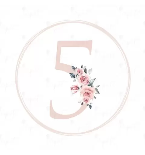 ADESIVO TONDO NUMERO 5 ROSA FLOREAL - 1 PZ