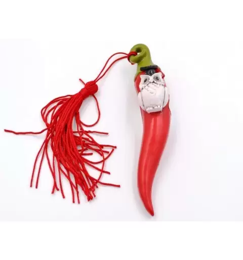9 CORNETTI LAUREA GUFO PERGAMENE
