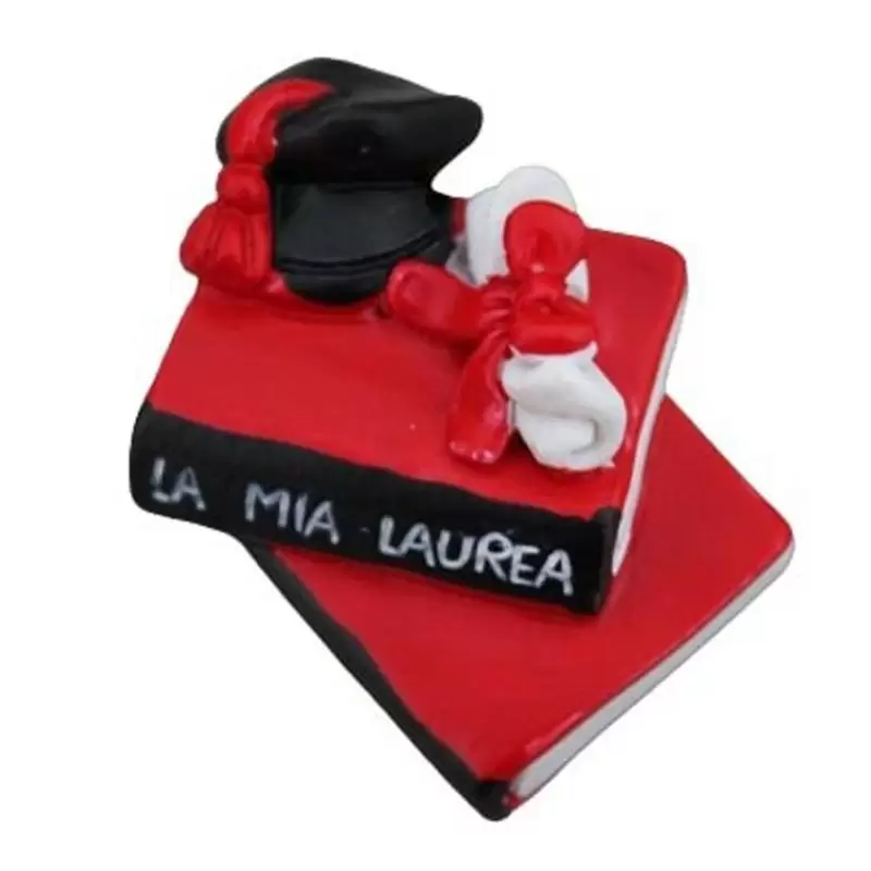 12 MAGNETE LAUREA LIBRI PERGAMENA TOCCO