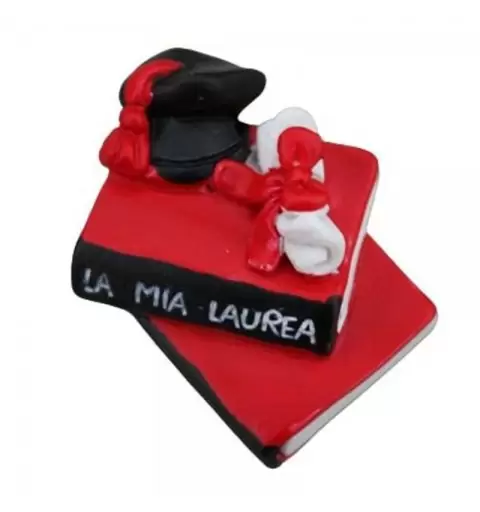 12 MAGNETE LAUREA LIBRI PERGAMENA TOCCO