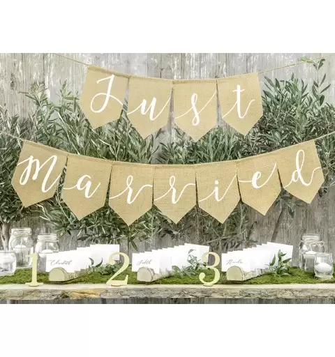 GHIRLANDA BANNER JUST MARRIED DI TELA