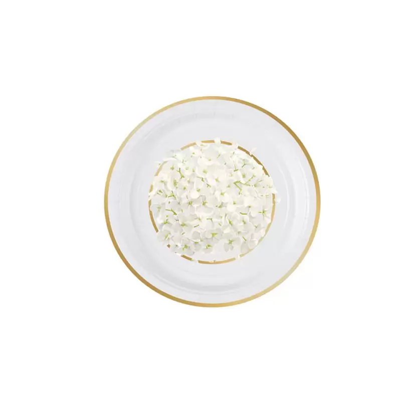 Piatto dessert ortensia 18 cm 8 pz. 5IT541011
