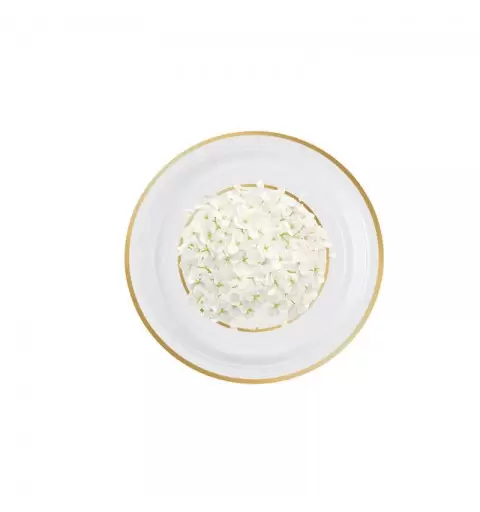 Piatto dessert ortensia 18 cm 8 pz. 5IT541011