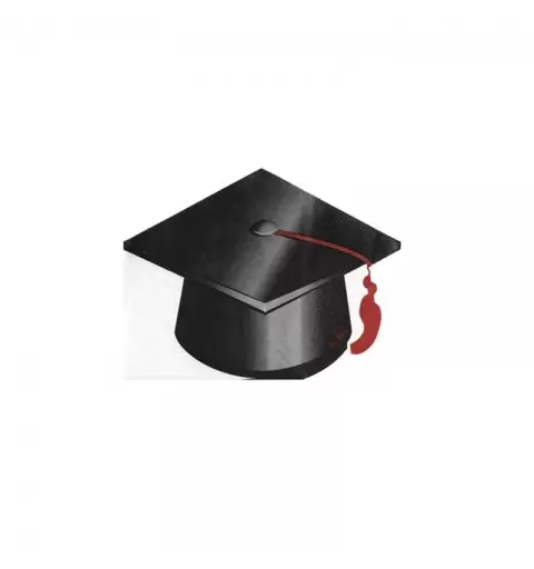 tovaglioli sagomati  laurea graduation 33 x 25 cm 64115