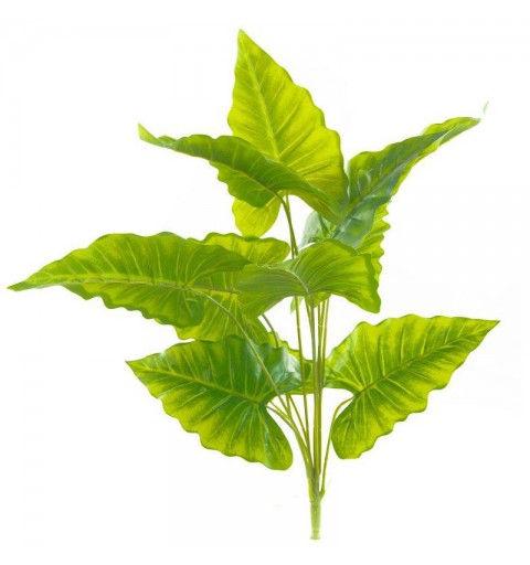 Ciuffo foglia calla A20595 11  rami 57 cm