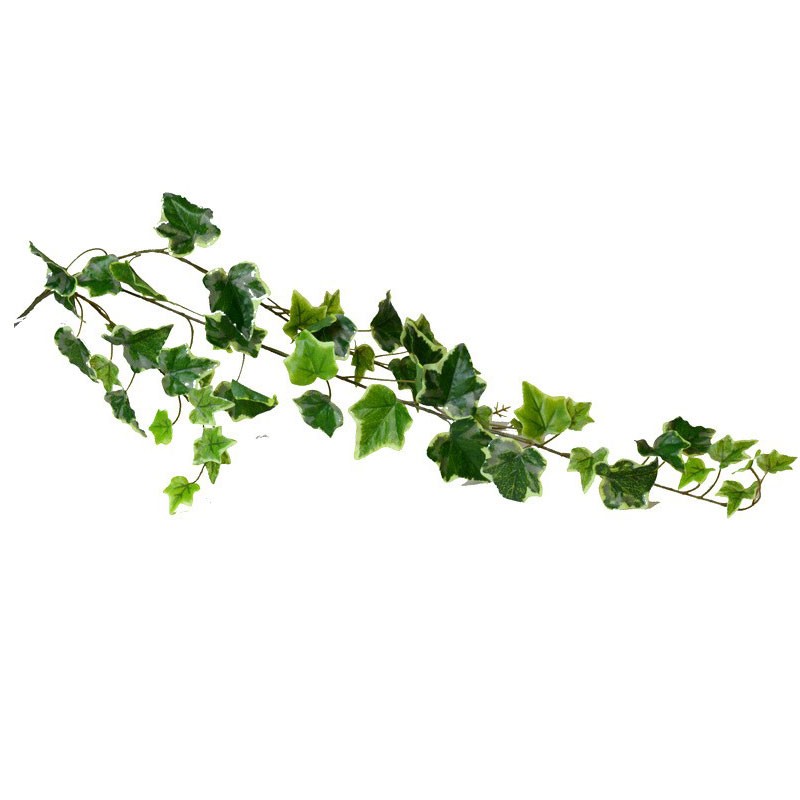 ramo edera variegata sintetico 39 foglie 112057-50