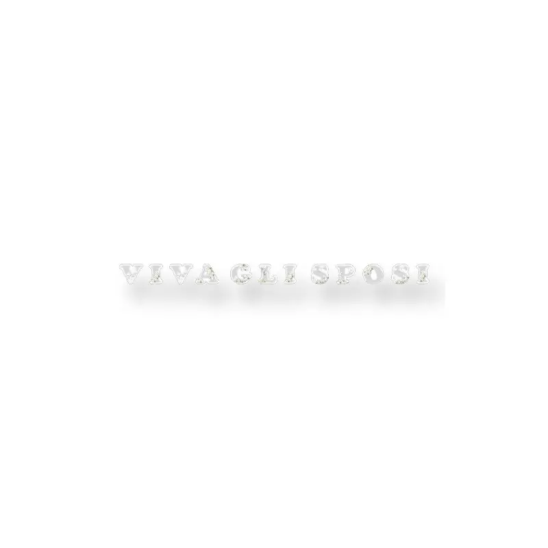 FESTONE VIVA GLI SPOSI  DA AUTO CON VENTOSA