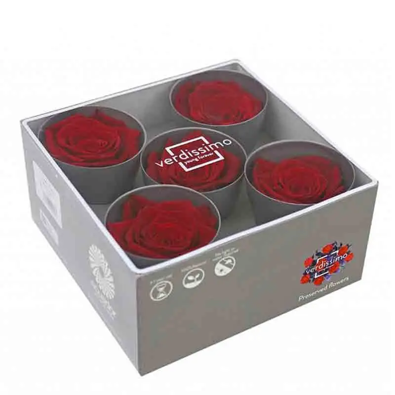 rosa stabilizzata Ø 5 CM in box da 5 pz RSQ/2200