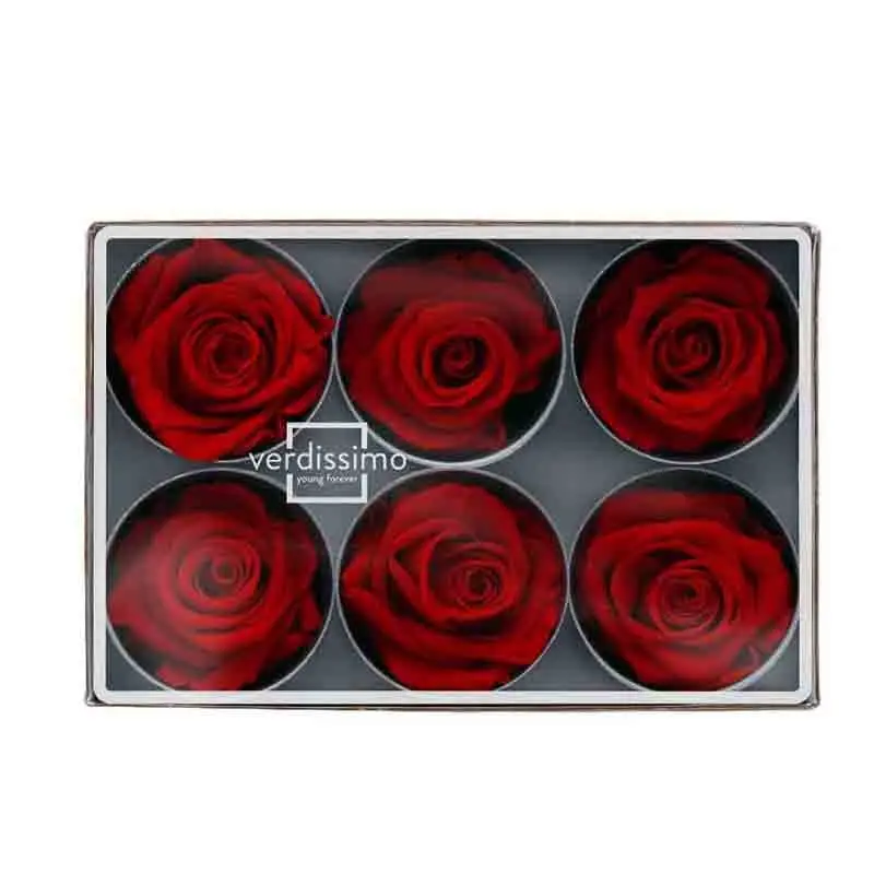 6 rose stabilizzate rosse RST/2200 6 x 6 x 6 cm