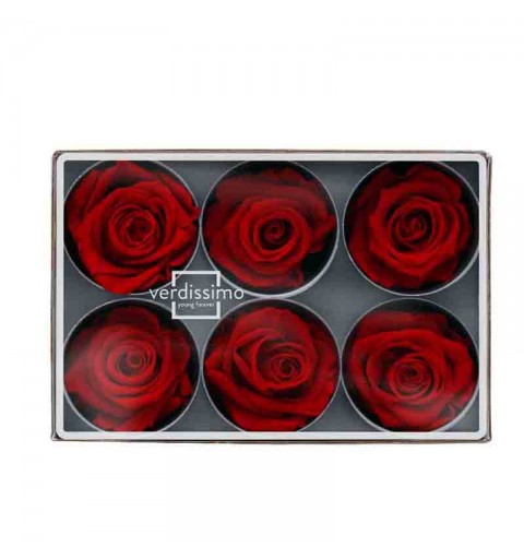 6 rose stabilizzate rosse RST/2200 6 x 6 x 6 cm