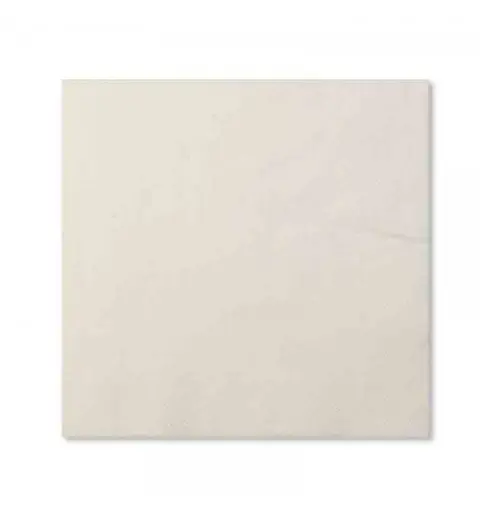 20 tovaglioli 33 x 33 cm in carta compostabile bianco 07KTFO