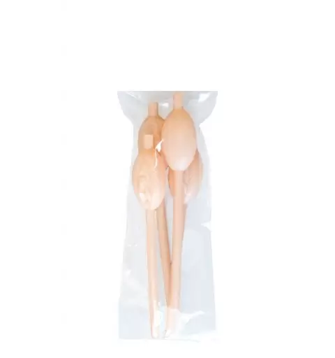 6 CANNUCCE CON PENE DI PLASTICA 
