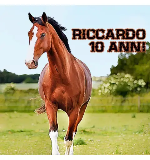 48 ADESIVI PERSONALIZZABILI CAVALLI