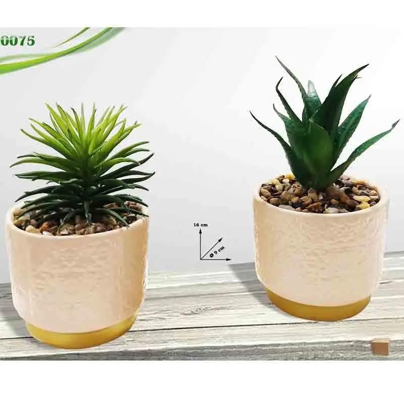 vaso in ceramica con piantina rosa col.assortiti e casuali 16 cm 0075