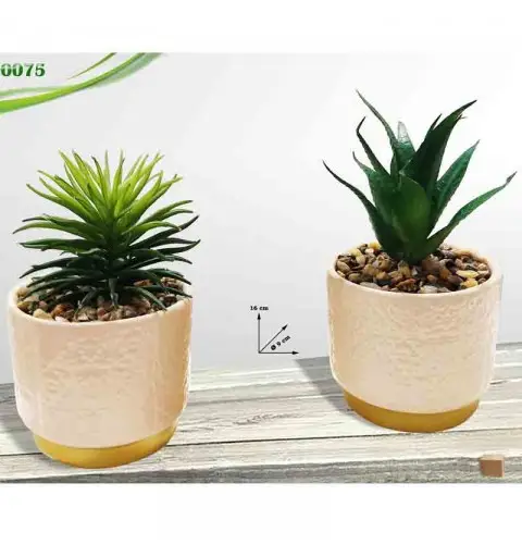 vaso in ceramica con piantina rosa col.assortiti e casuali 16 cm 0075
