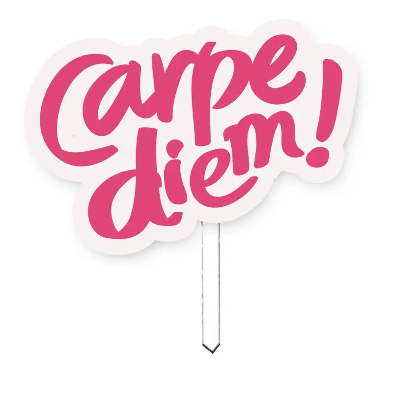Cake Topper in plexiglass carpe diem rosa
