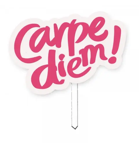 Cake Topper in plexiglass carpe diem rosa
