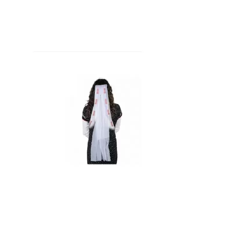 2 CIUCCIOTTI A FORMA DI PENE PLASTICA 92345