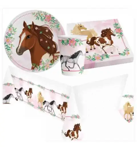 KIT 16 - 105 PZ. COORDINATO COMPLEANNO CAVALLI