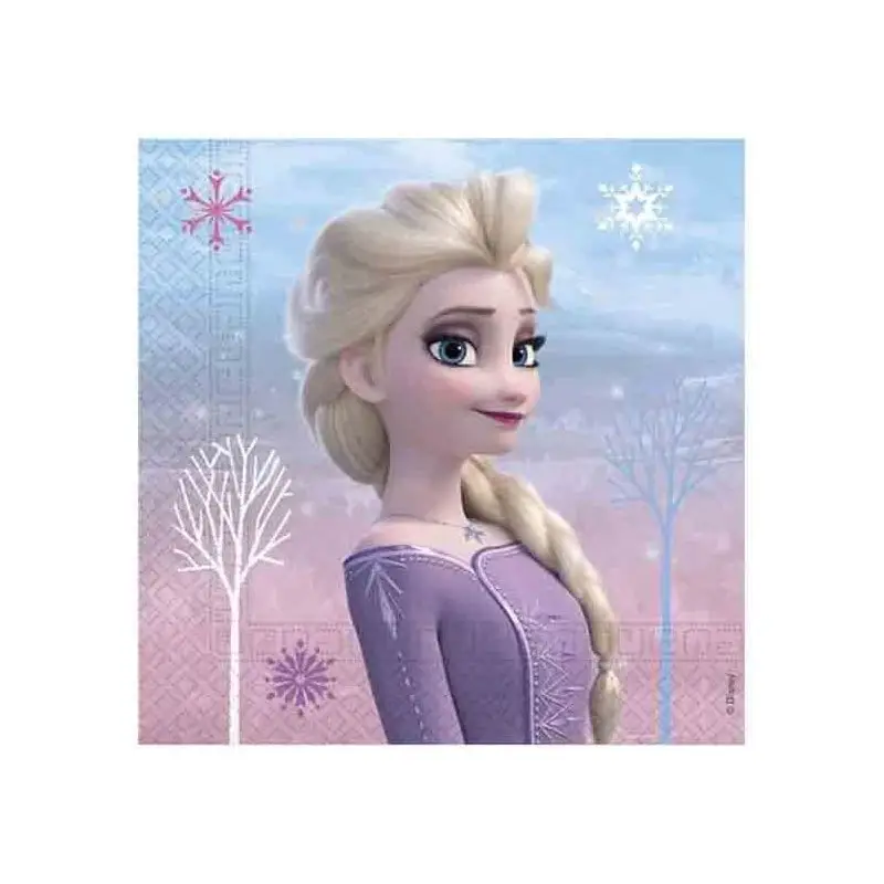 KIT COMPLEANNO PRINCIPESSA FROZEN NORTHEN COMPLETO CON PALLONCINI FUCSIA N.27