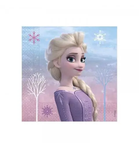 KIT COMPLEANNO PRINCIPESSA FROZEN NORTHEN COMPLETO CON PALLONCINI FUCSIA N.27