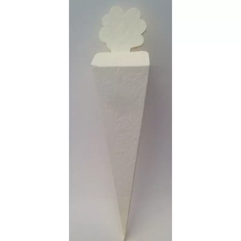 50 CONI QUADRATI PORTARISO 2321