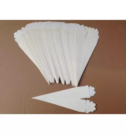 50 CONI QUADRATI PORTARISO 2321