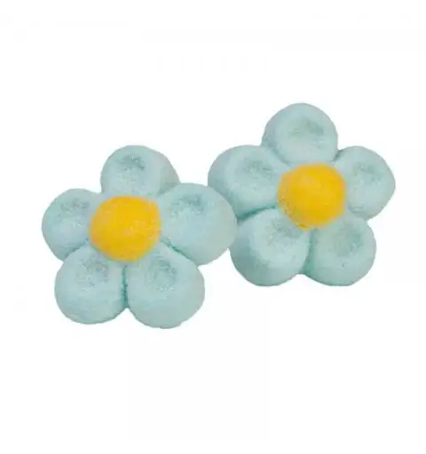 MARSHMALLOW MARGHERITE CELESTI - 900 GR