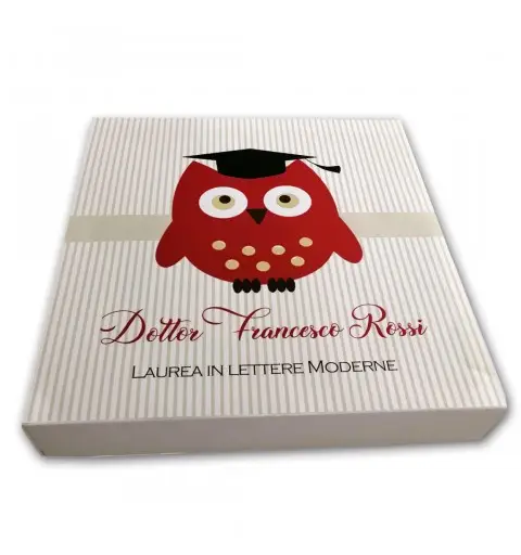 Set scatoline portaconfetti cubetto 20pz con Scatola Box Laurea Gufo - Personalizzabile